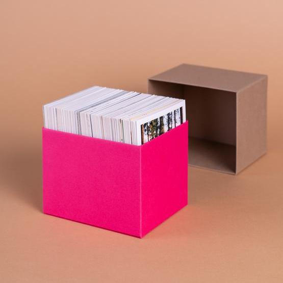 Pioneer Photo Albums Scatola Portafoto Verde Salvia – Organizza E Conserva I Tuoi Ricordi Con Stile